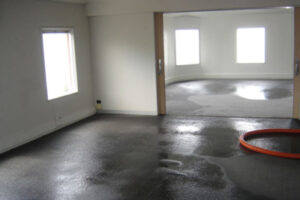 looded-carpet-restoration